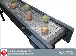 天德輸送網帶 安寧區蘿卜清洗網帶輸送機廢料提升鏈板輸送機