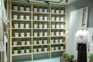 滬上文藝實驗室揭牌 以文化經紀人服務為引擎，開啟文創產業跨界探索新篇章